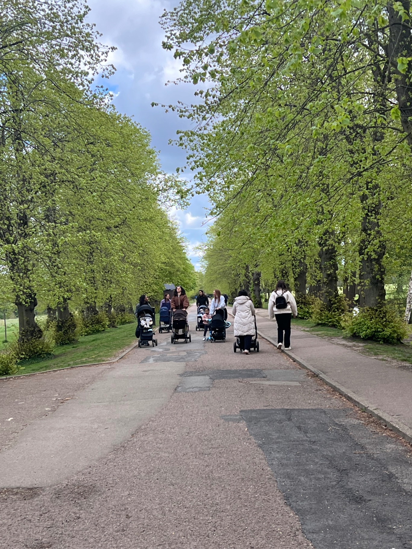 The Stroll Society moment