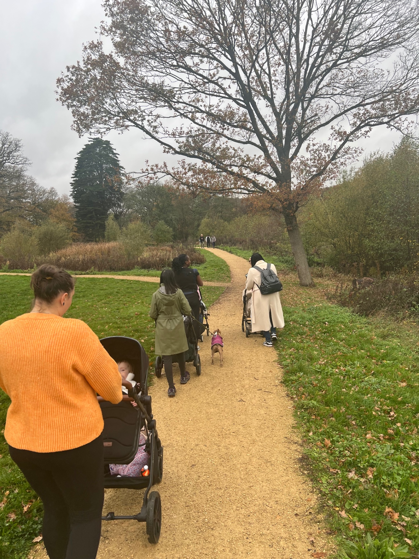 The Stroll Society moment